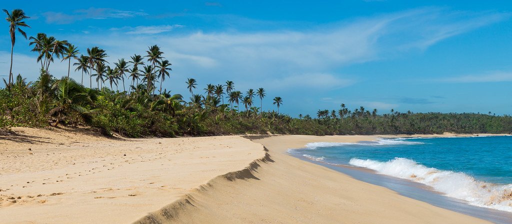 An empty Caribbean beach lined with palms beside breaking surf